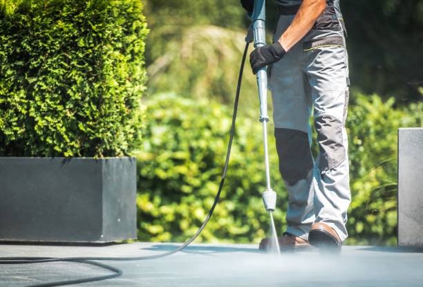 Best Roof Washing  in Camp Wood, TX