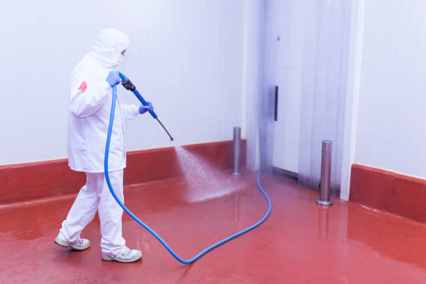 Boat and Dock Cleaning in Camp Wood, TX